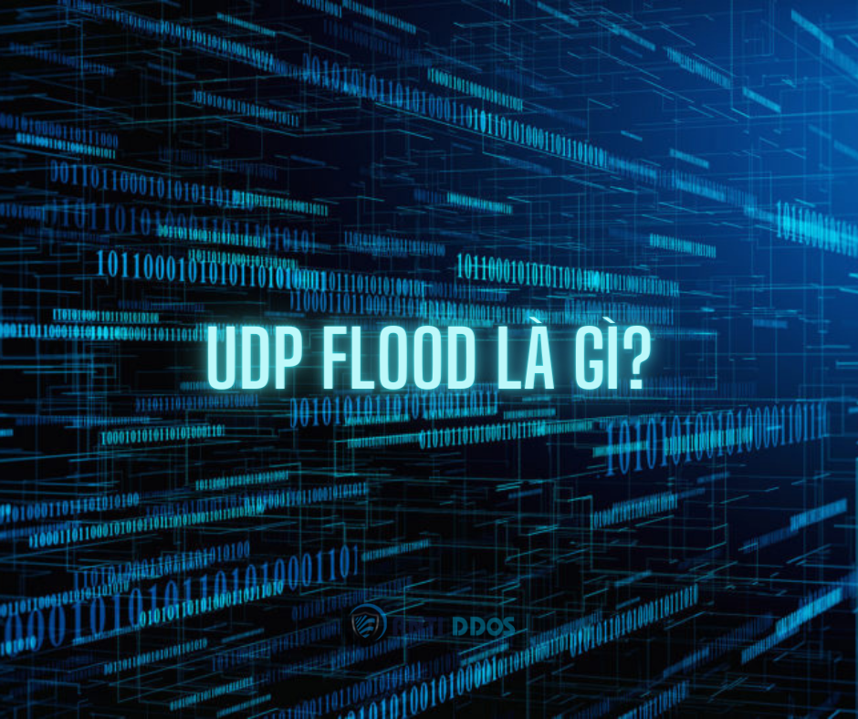 UDP Flood là gì? Cách phòng chống tấn công UDP hiệu quả